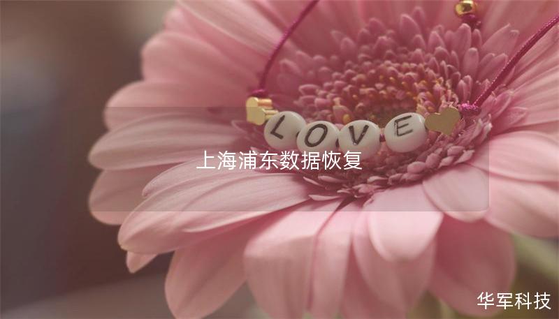上海浦東數(shù)據(jù)恢復(fù) 上海浦東數(shù)據(jù)恢復(fù)